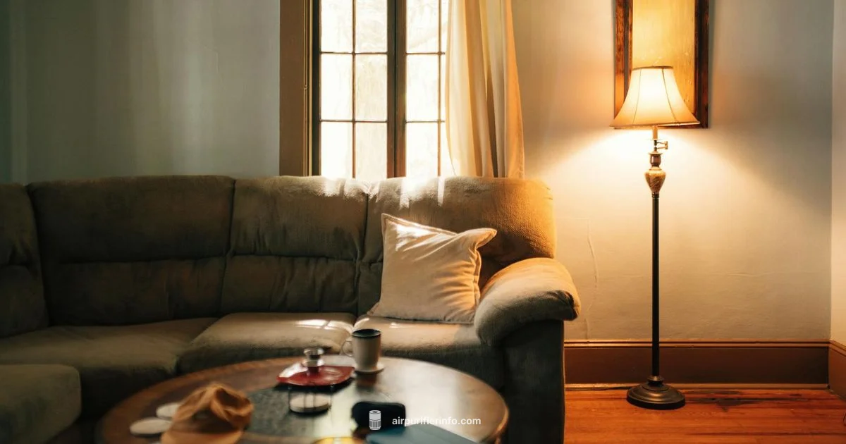 Levoit Cleaning Guide - Air Purifier Info