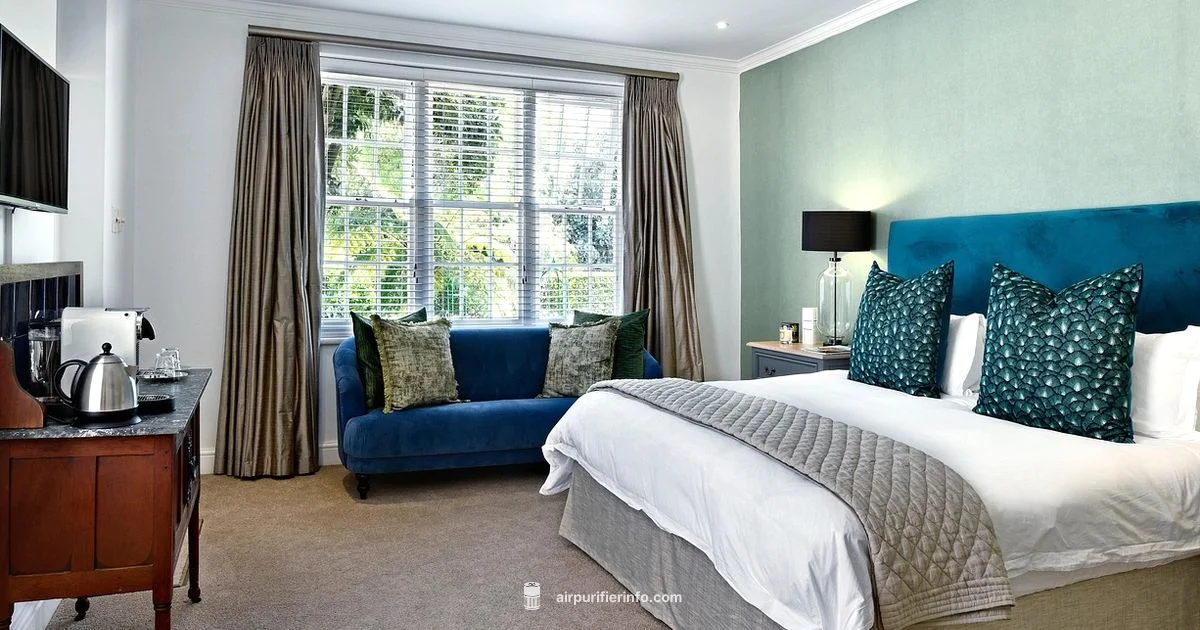 Bedroom Air Purifier - Air Purifier Info