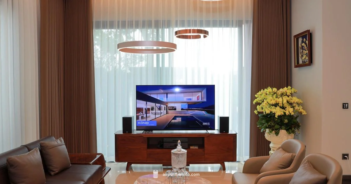 Quiet, Clean Air - Air Purifier Info