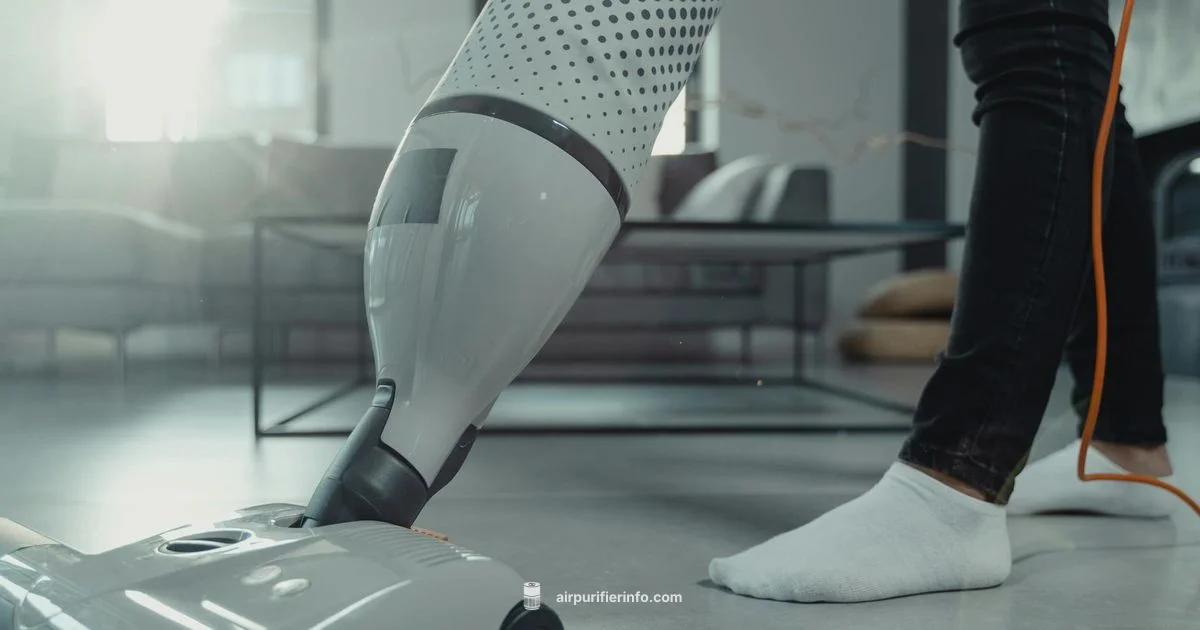 Electric Purifier Guide - Air Purifier Info