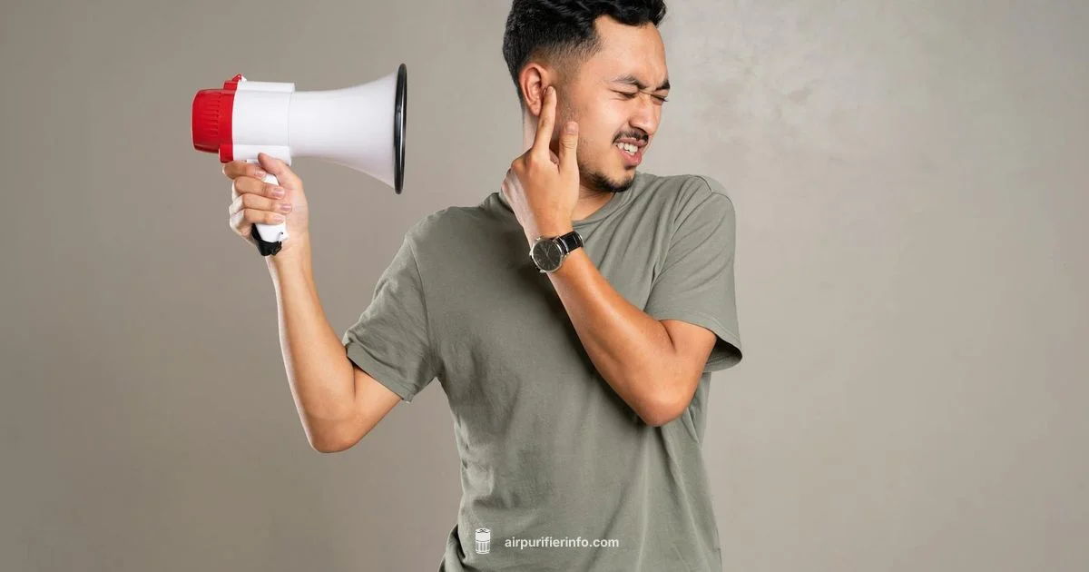 Loud Noise Fixes - Air Purifier Info