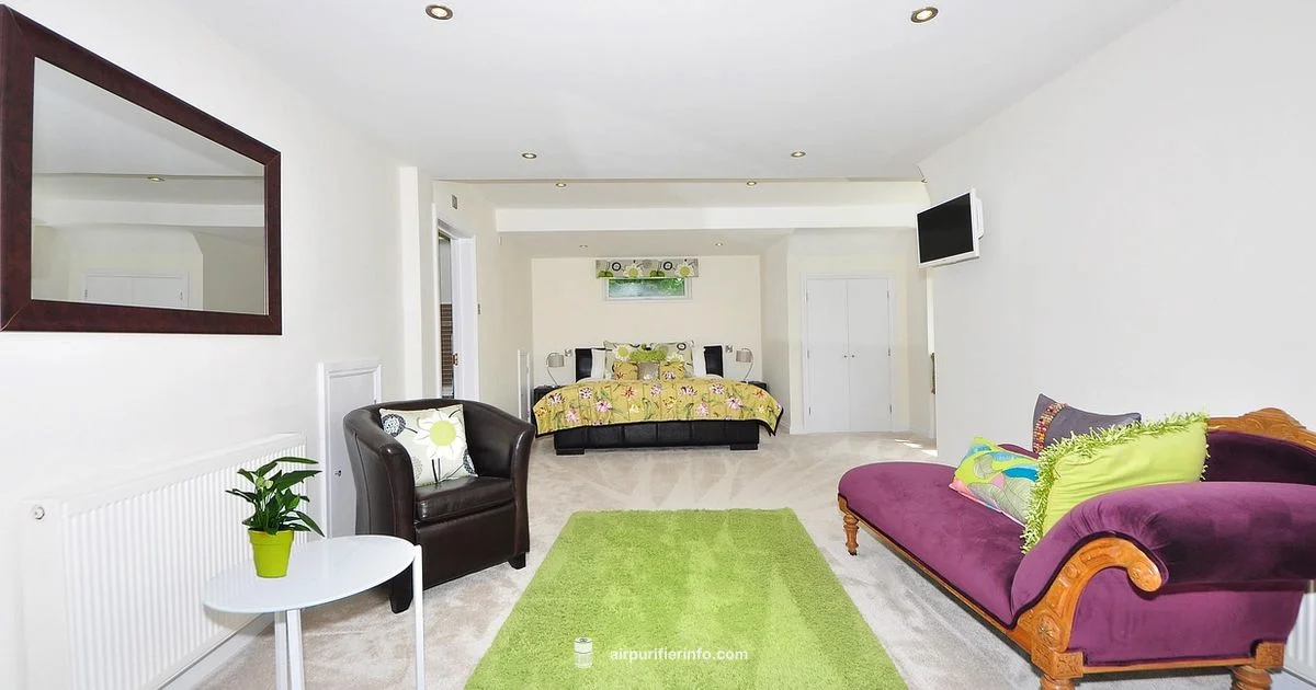 Mila in Living Room - Air Purifier Info