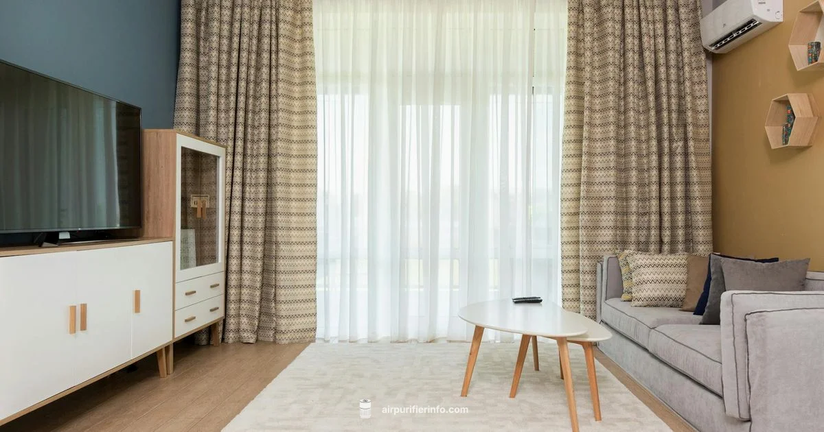 Budget Picks - Air Purifier Info