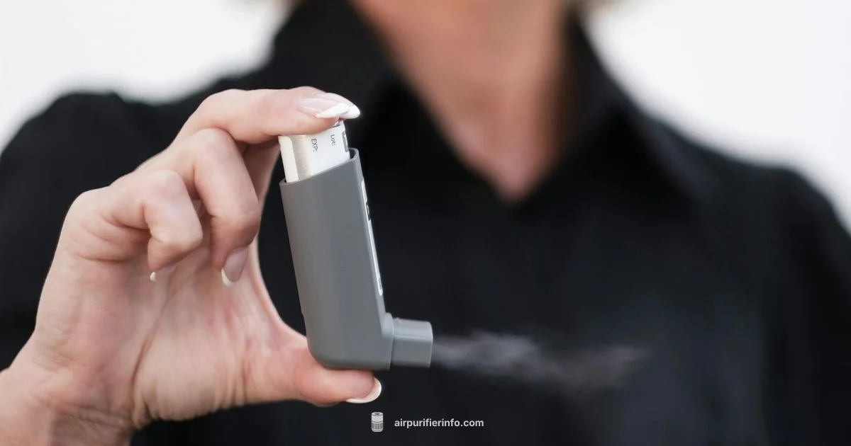 Asthma Purifier Setup - Air Purifier Info