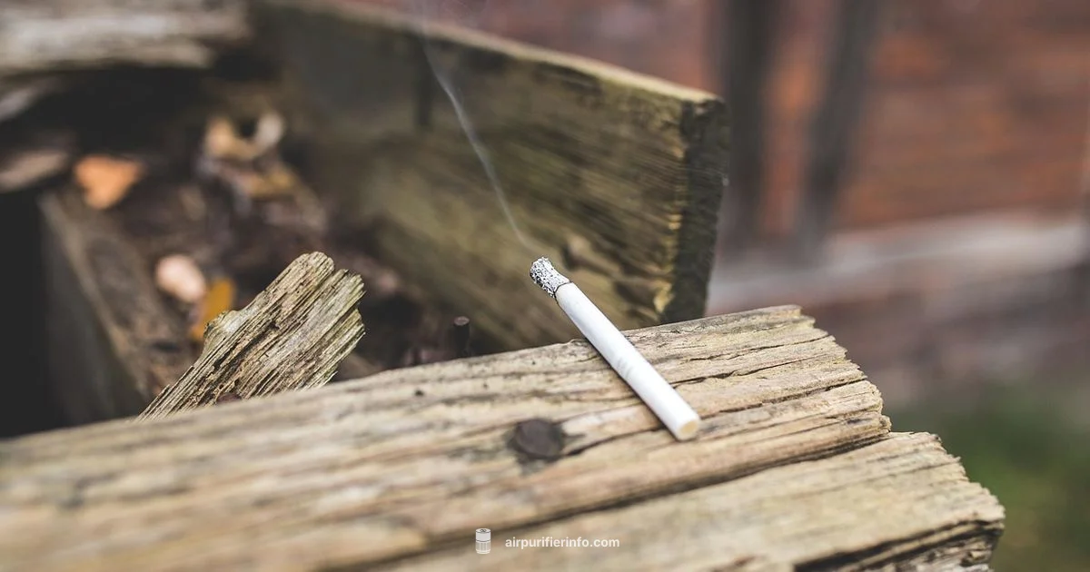 Cigarette Filter Basics - Air Purifier Info