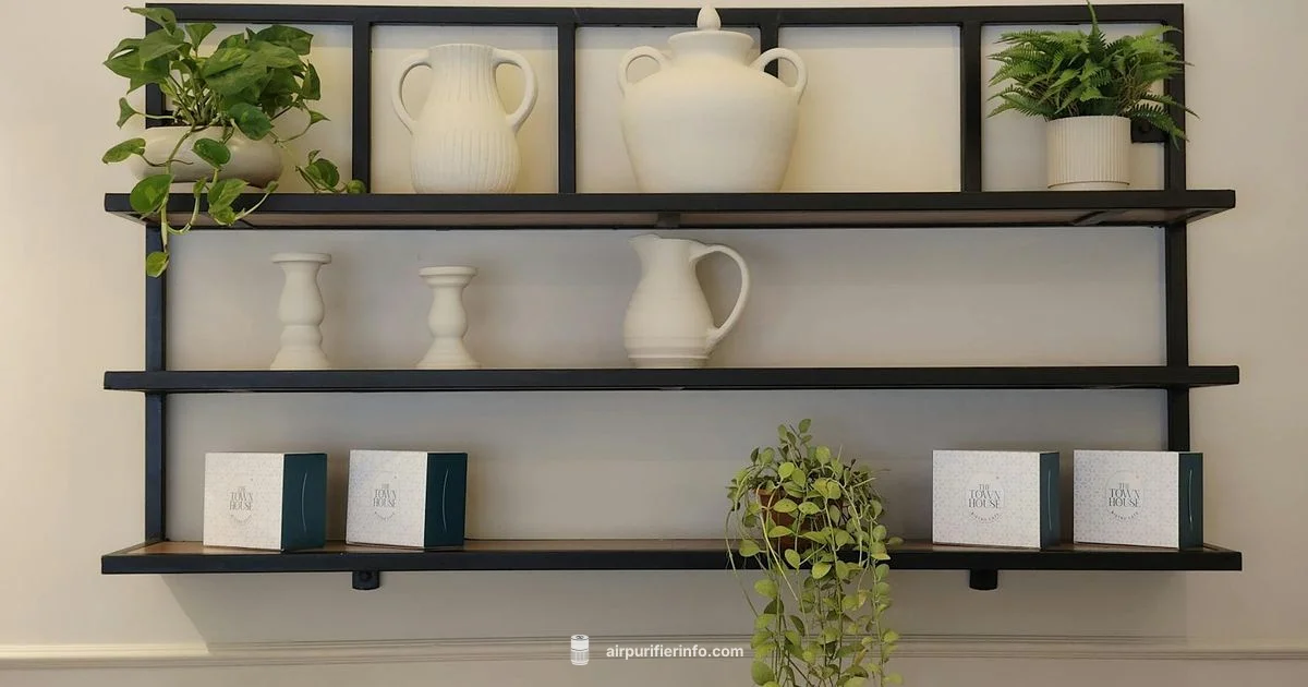 Levoit at Walmart - Air Purifier Info