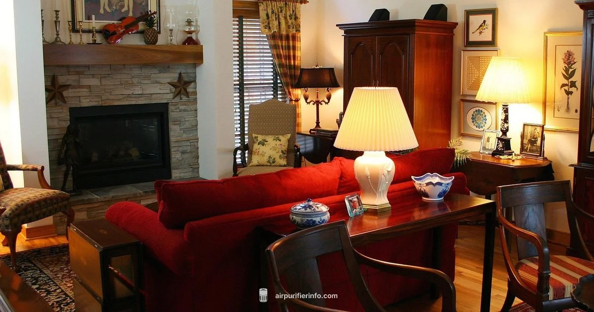 Dust Prevention Guide - Air Purifier Info