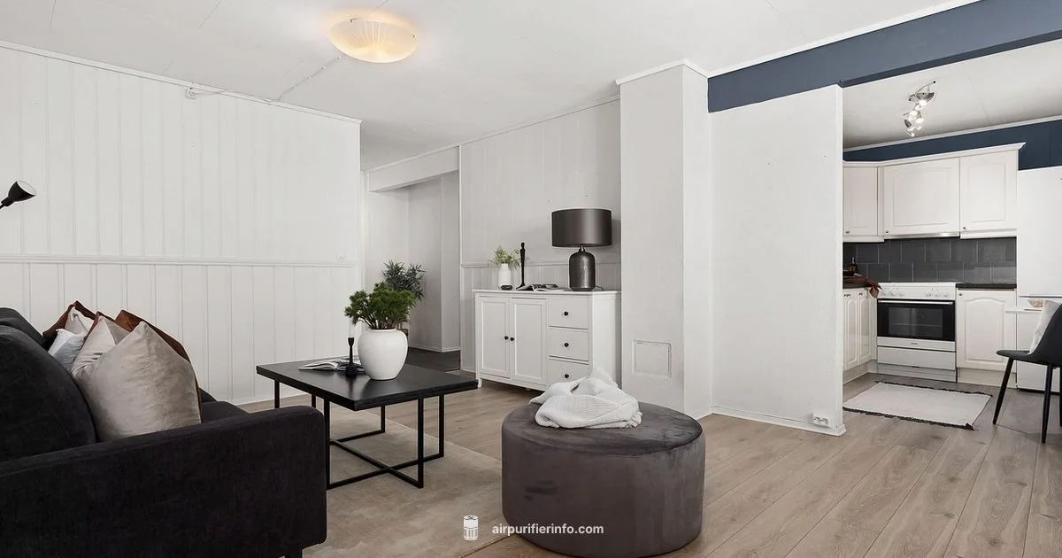 Clean Air at Home - Air Purifier Info