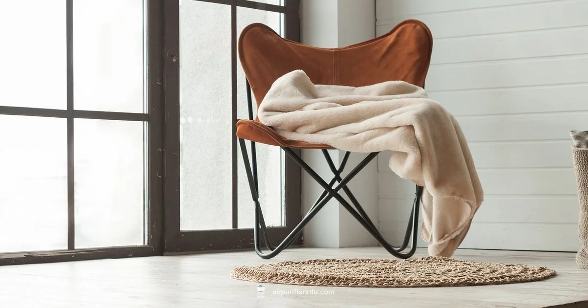 Clean Air at Home - Air Purifier Info