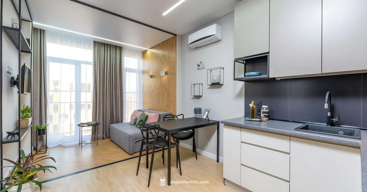 Right Size, Clean Air - Air Purifier Info