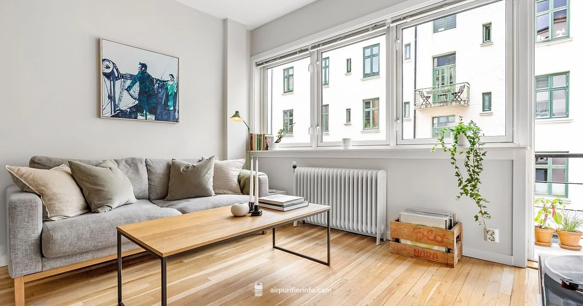 0.1 Micron Power - Air Purifier Info