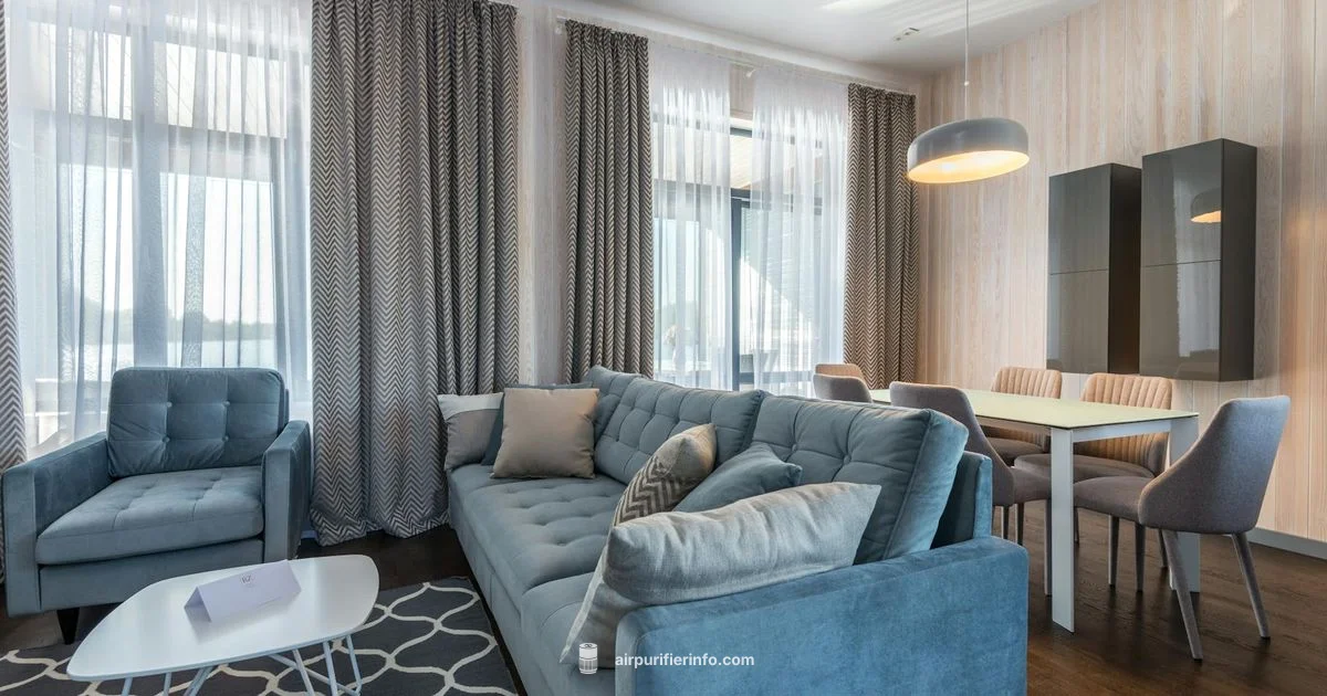 Rent vs Buy - Air Purifier Info