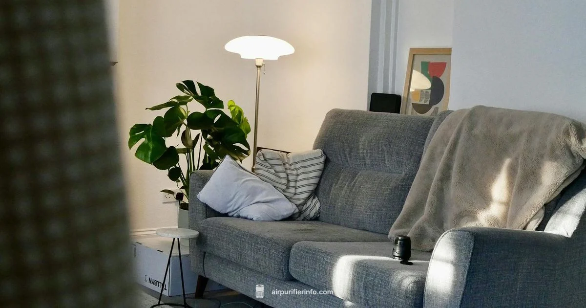 Levoit Purifier Review - Air Purifier Info