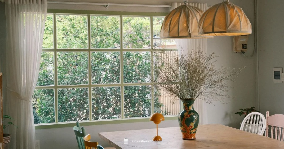 Breathe Easier Now Breathe Easier Now - Air Purifier Info