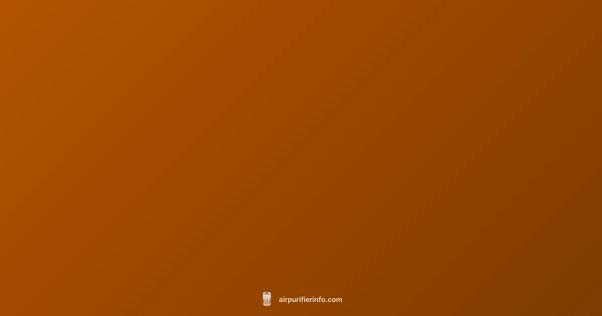 Install a Vent Filter - Air Purifier Info (illustration)