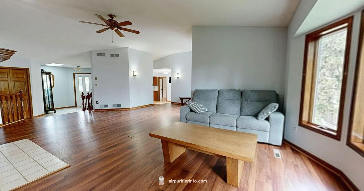 Oreck XL Guide - Air Purifier Info