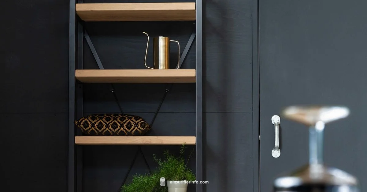 Best Levoit Picks Best Levoit Picks - Air Purifier Info