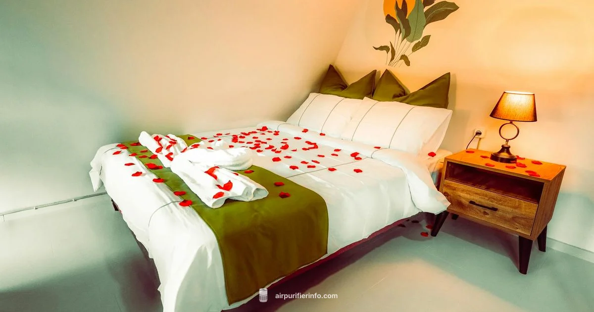 Small Space Purifier Small Space Purifier - Air Purifier Info