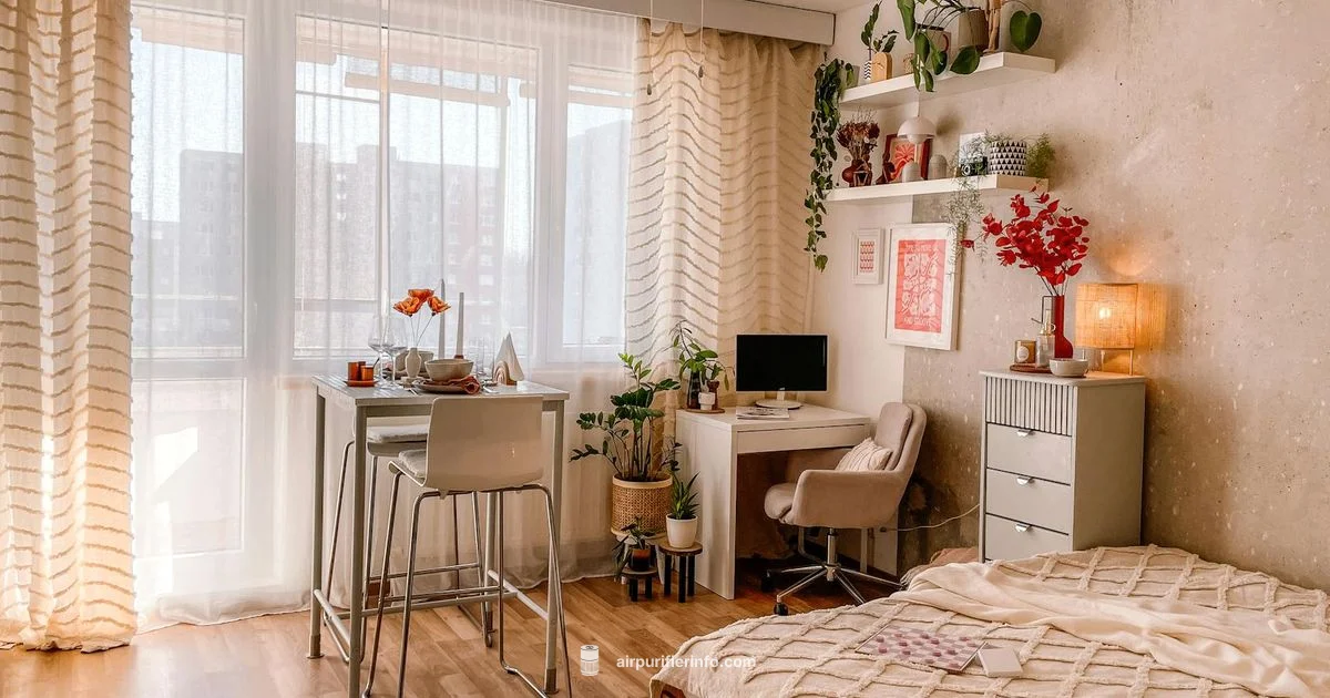 Beurer Purifier Guide - Air Purifier Info