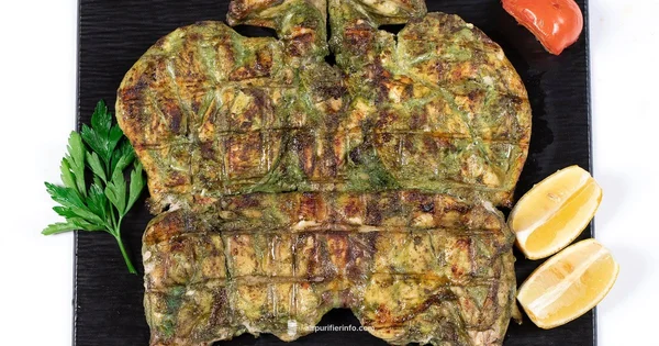 Charcoal Filter Guide - Air Purifier Info