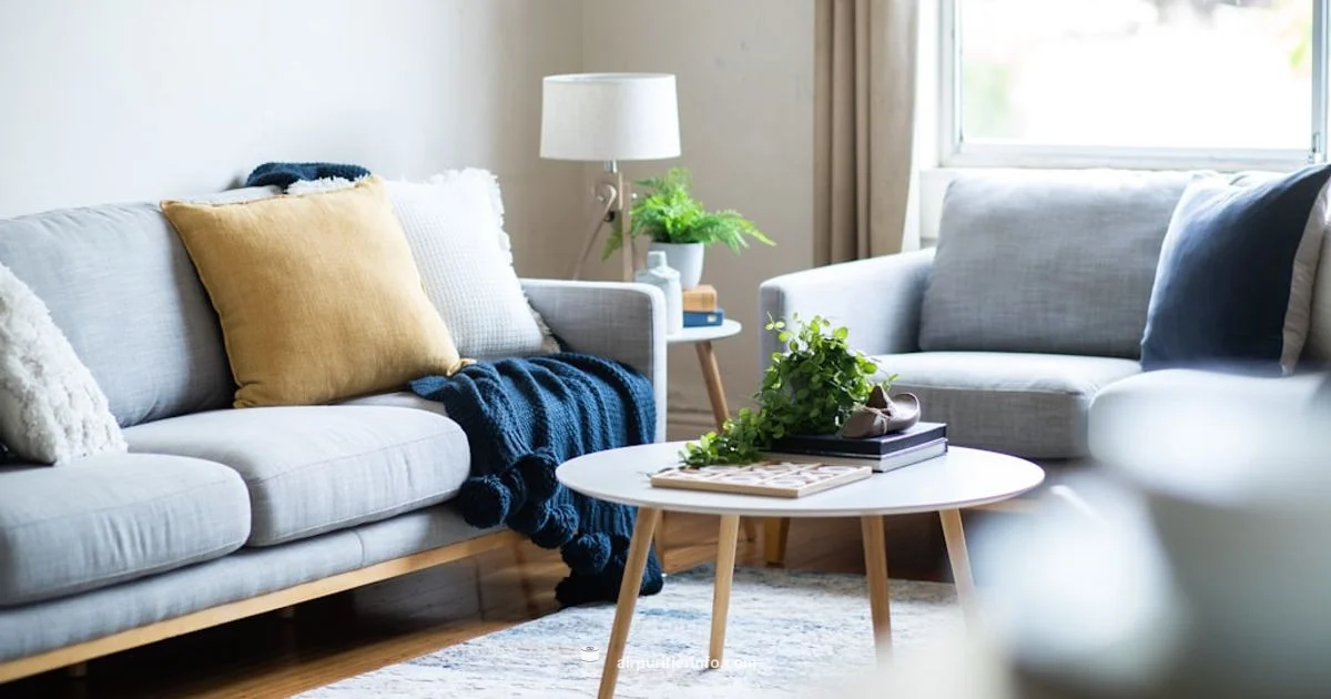 Room Filter Essentials - Air Purifier Info