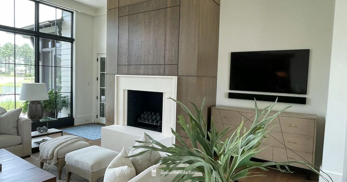 Smoke Eater Guide - Air Purifier Info