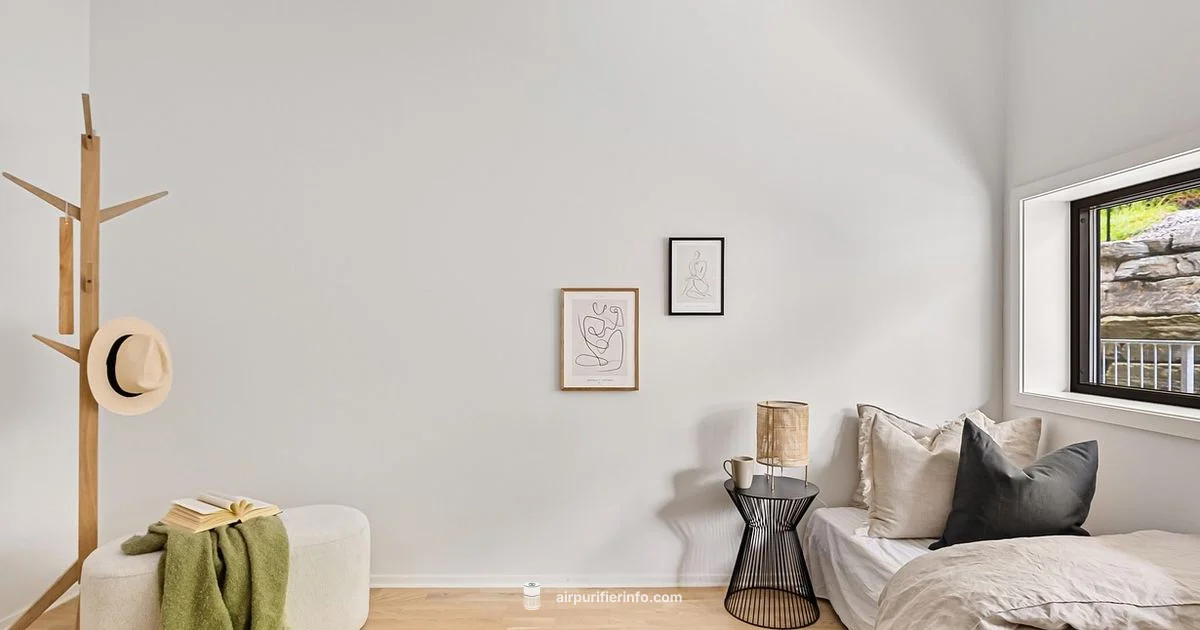 Amazon Purifier Picks - Air Purifier Info