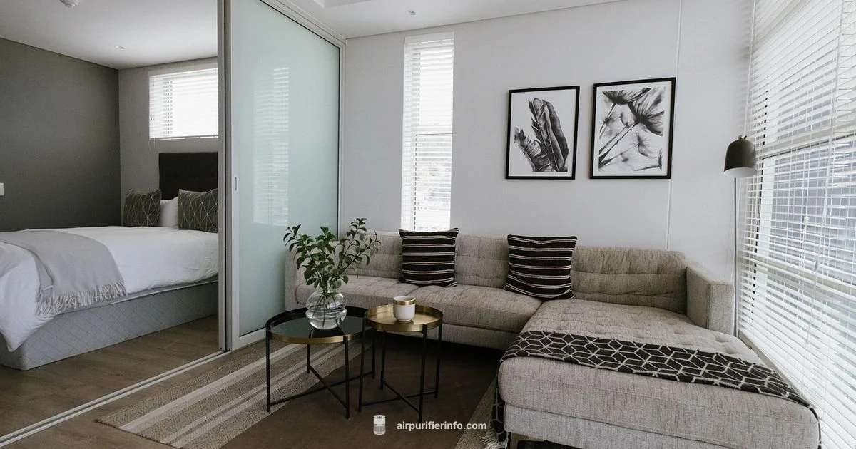 Ion Technology Purifier - Air Purifier Info