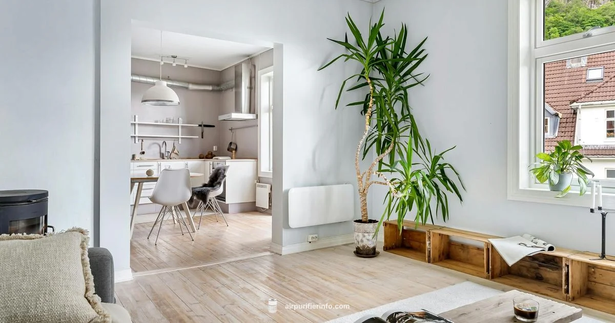 Filtrete Filter Guide - Air Purifier Info