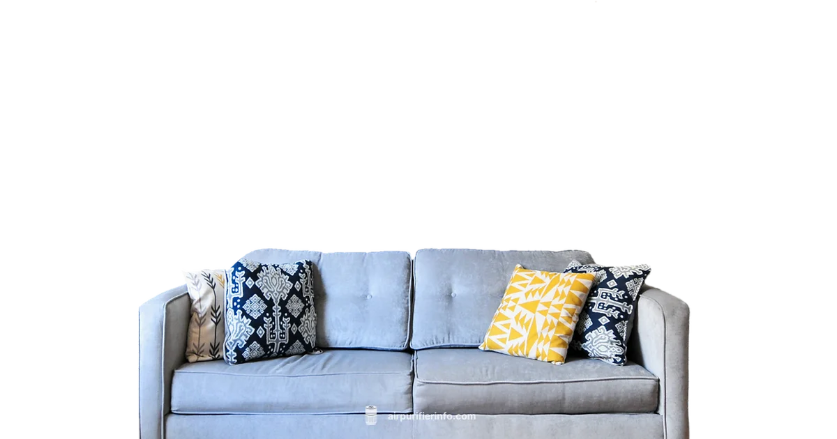 Cleaner Air at Home - Air Purifier Info