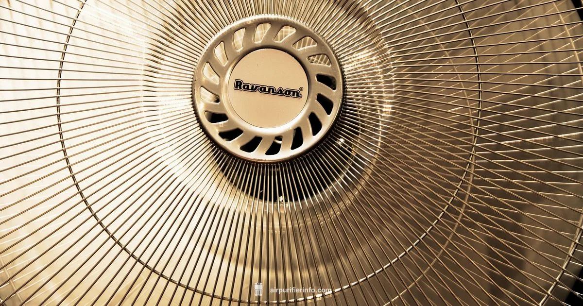 Fan Assisted Purifier - Air Purifier Info