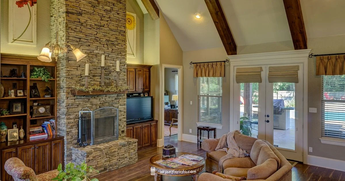 Purifier Basics Purifier Basics - Air Purifier Info