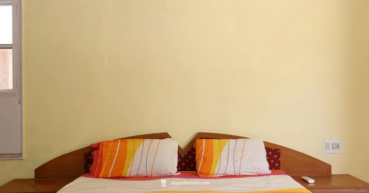 Air Purifier Help - Air Purifier Info