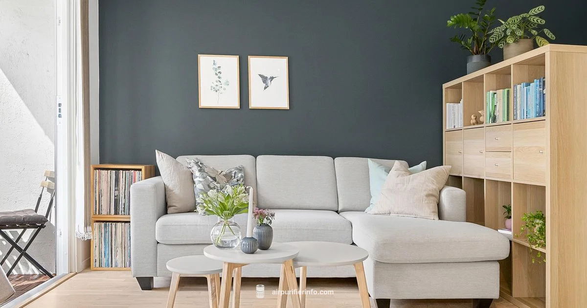 Quiet Air, Clean Living - Air Purifier Info