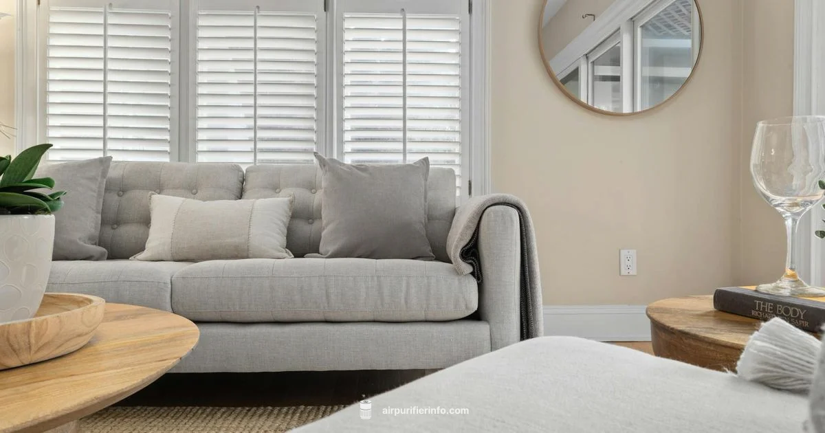 Homedics Review - Air Purifier Info