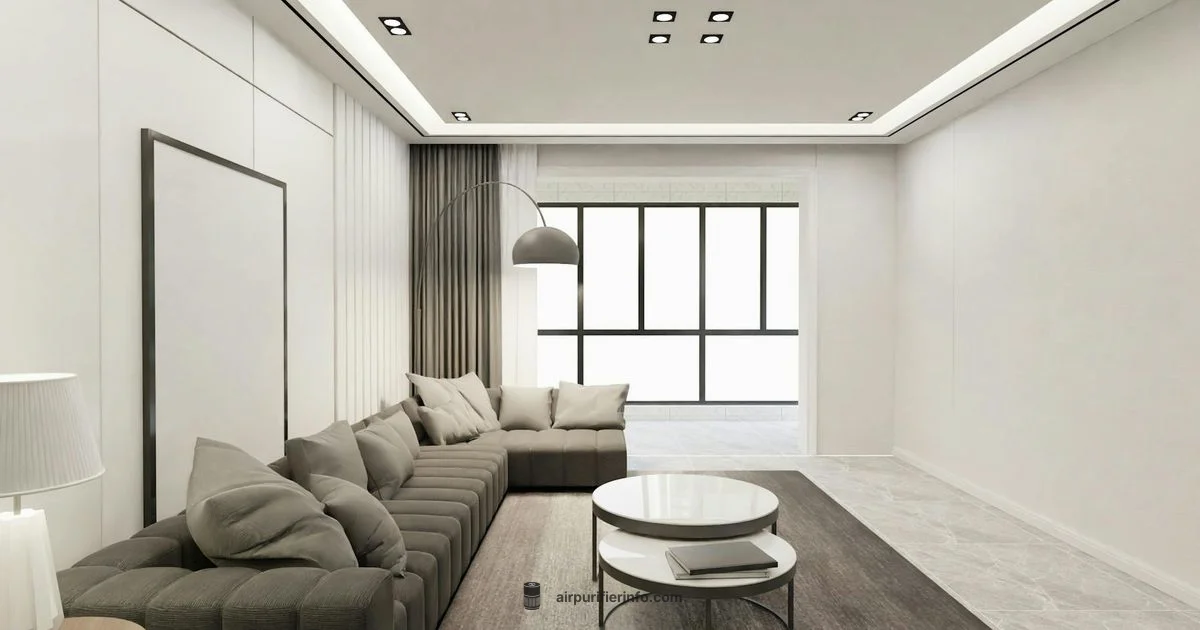 Clean Air Now - Air Purifier Info