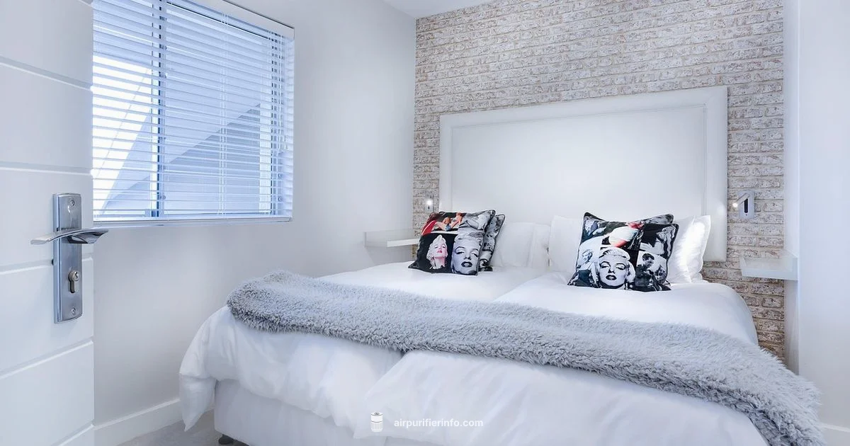 TP01 Pure Cool - Air Purifier Info