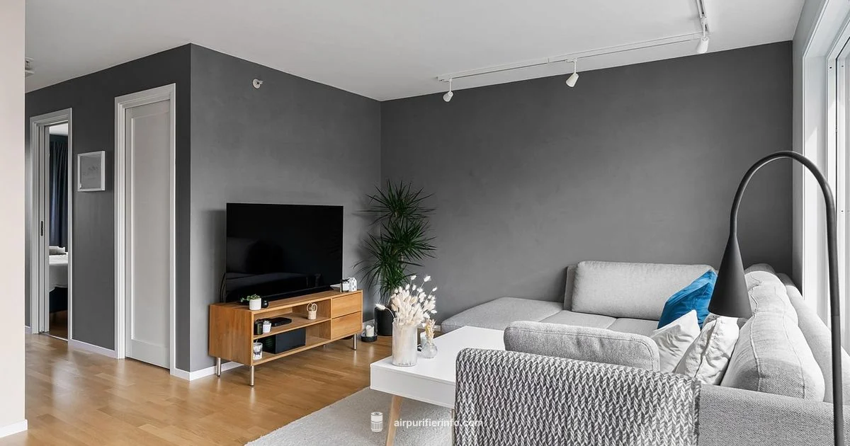 Clean Air Setup - Air Purifier Info