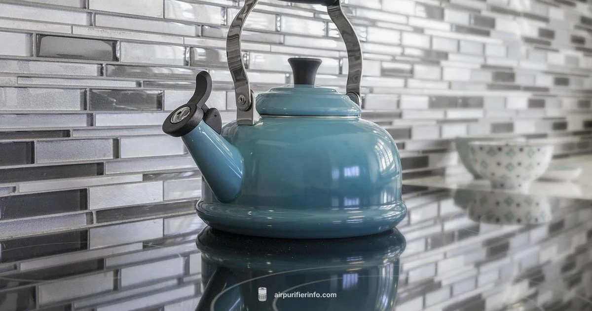 Blue Purifier Manual - Air Purifier Info