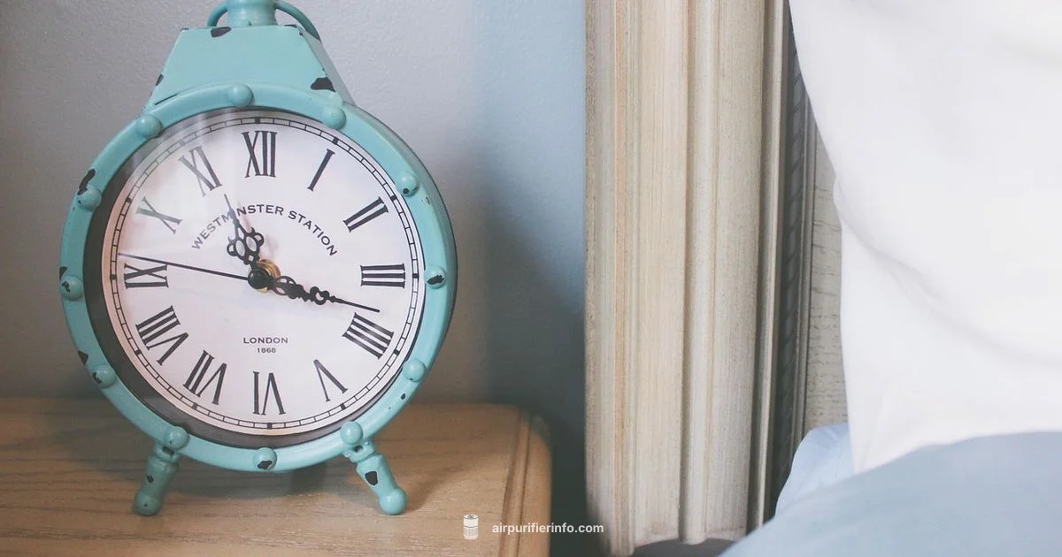 Dust Mite Purifier Guide - Air Purifier Info