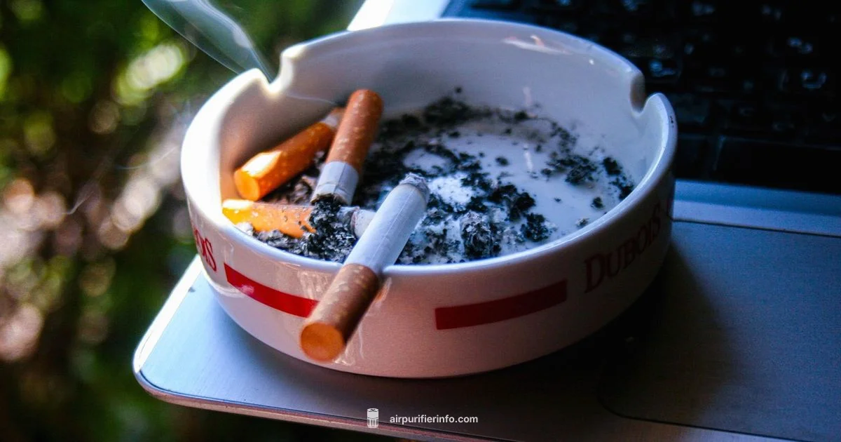 Smoky Room Clean - Air Purifier Info