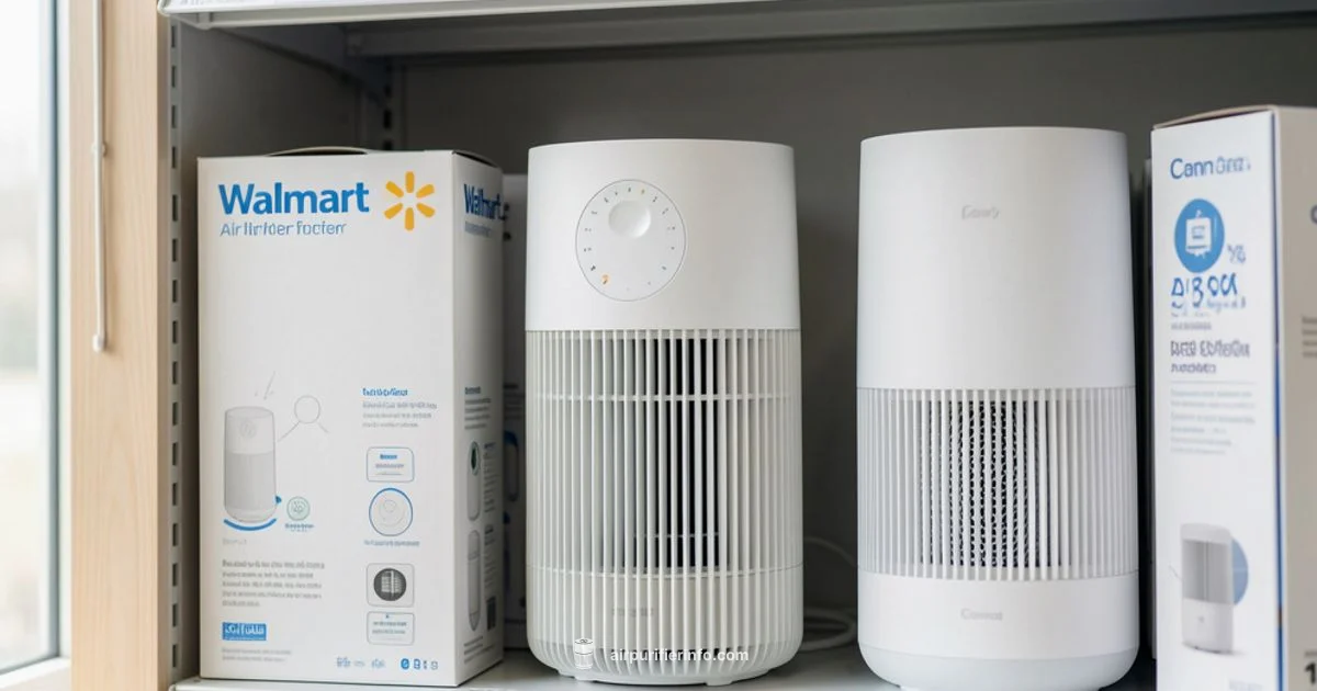 Walmart Purifier Guide - Air Purifier Info
