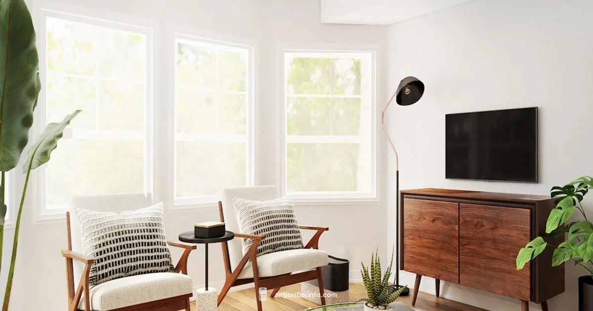 Sale Edition Purifier - Air Purifier Info