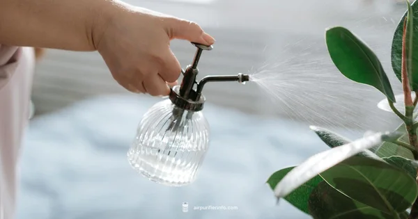 Purifier with Humidifier - Air Purifier Info