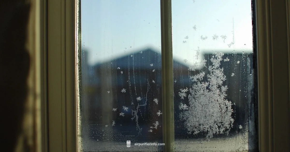 Cleaner Air at Home - Air Purifier Info