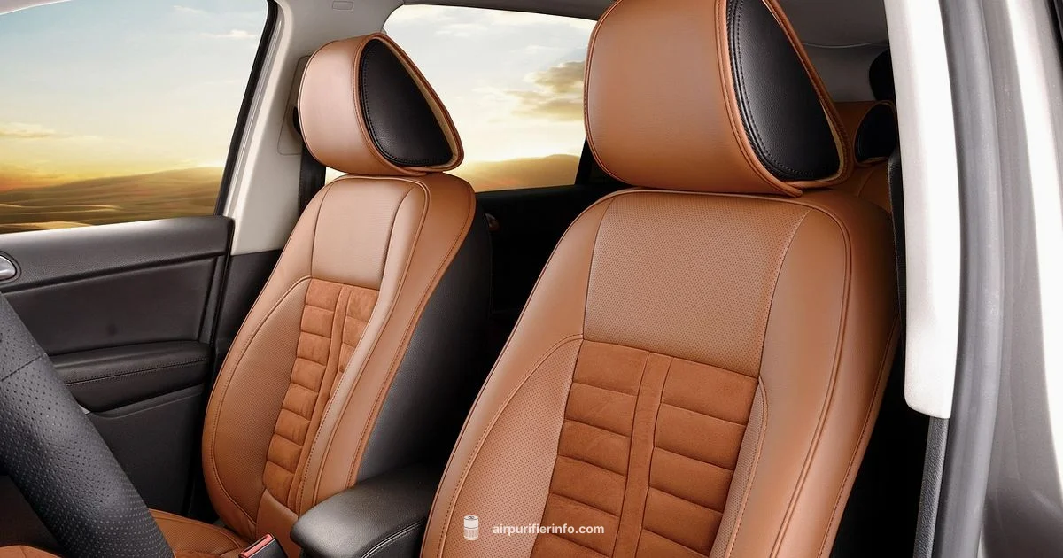 Clean Car Air Clean Car Air - Air Purifier Info