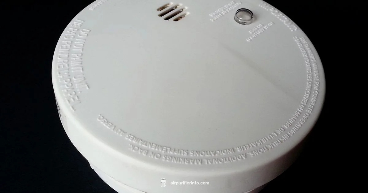CO Detector and Purifier - Air Purifier Info