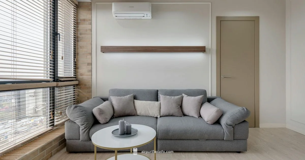 Budget-Friendly Filters - Air Purifier Info