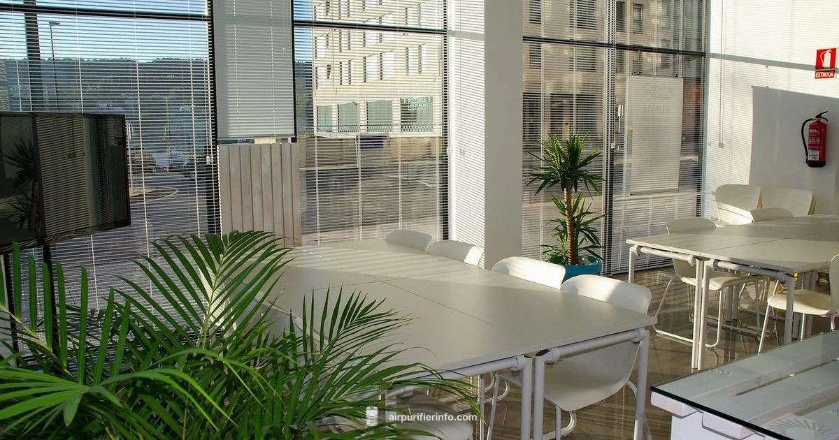 Dyson Cost 2026 - Air Purifier Info