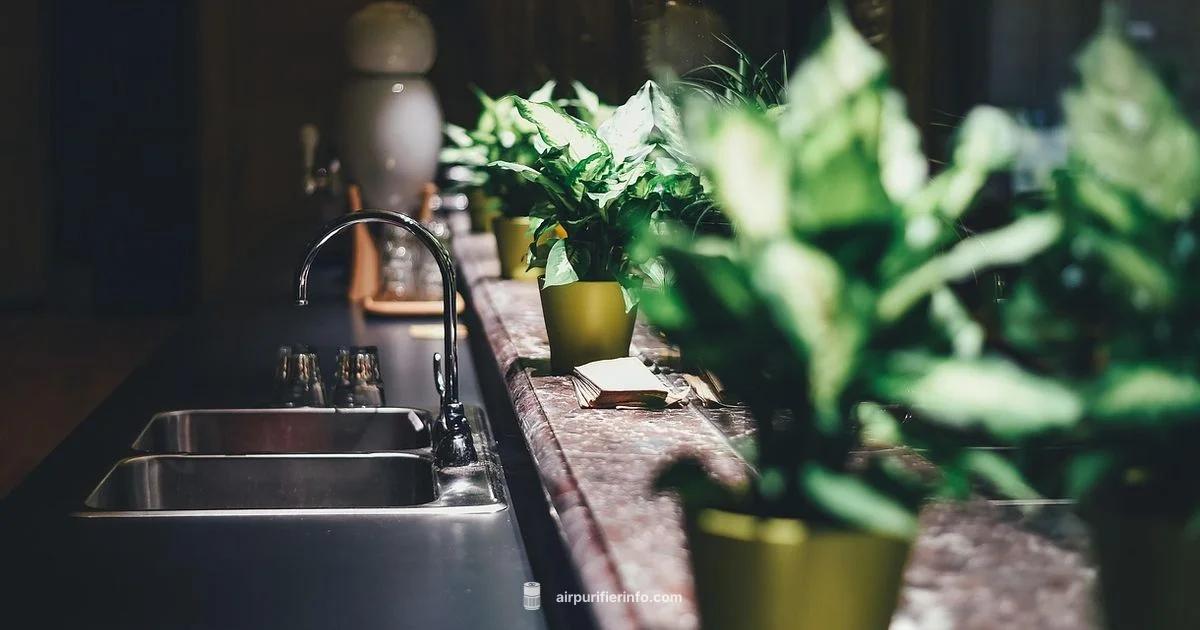 Aroeve Manual Guide - Air Purifier Info